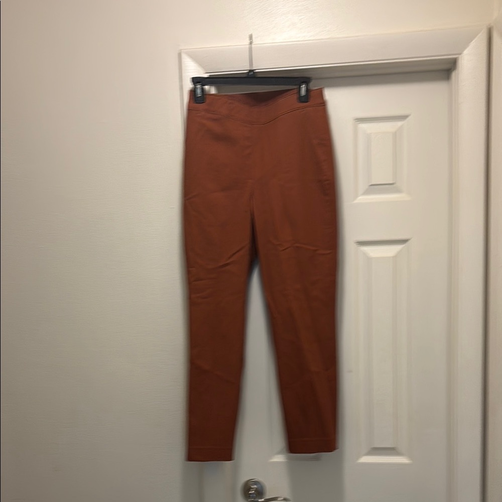 SPANX Warm Brown Pants